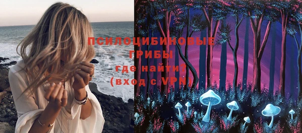 ГАЛЛЮЦИНОГЕННЫЕ ГРИБЫ Магадан