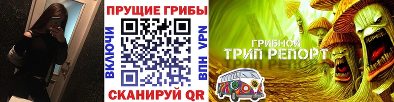 где купить наркотик  Пыть-Ях  Псилоцибиновые грибы Psilocybe 