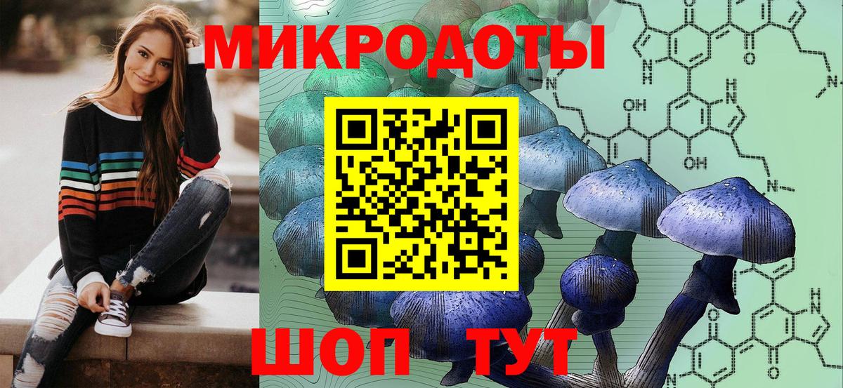 Псилоцибиновые грибы Psilocybe  Псилоцибиновые грибы прущие грибы  Пыть-Ях 