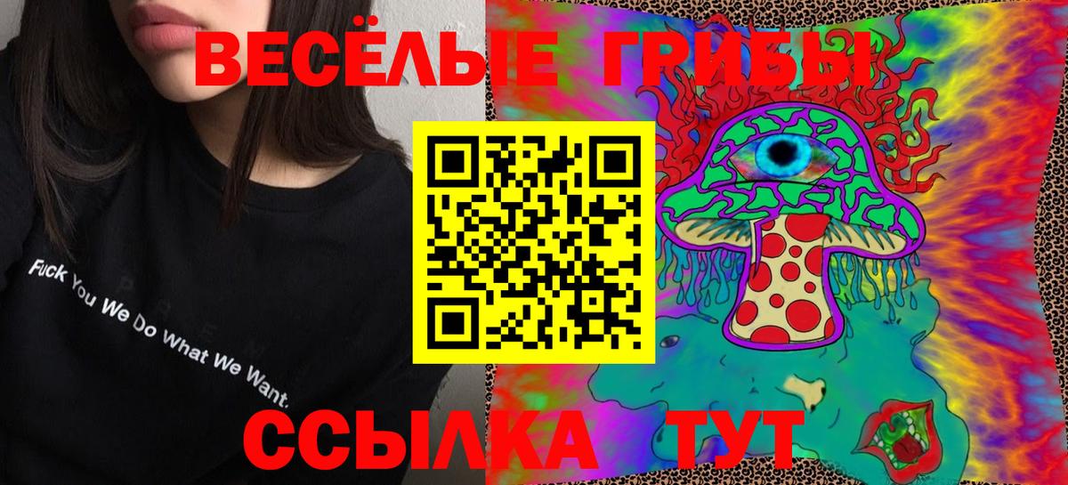 Пыть-Ях  Псилоцибиновые грибы Psilocybine cubensis  Вход с VPN  Псилоцибиновые грибы MAGIC MUSHROOMS 