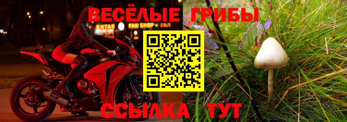 Галлюциногенные грибы MAGIC MUSHROOMS Пыть-Ях